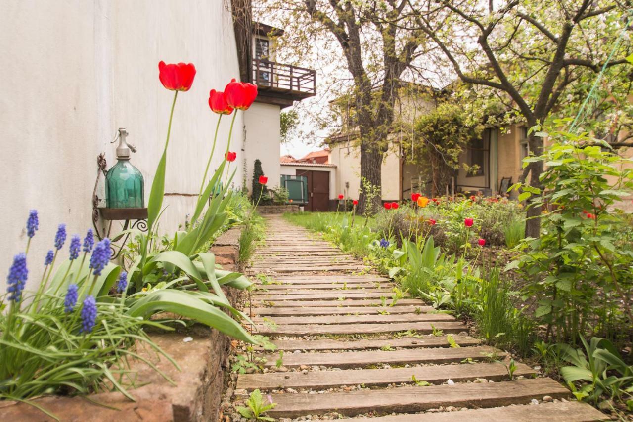 Mango Rooms Brasov Exterior photo